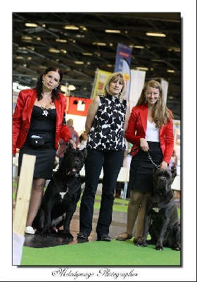 du bois d'Aquilas -  Paris World Dog Show !!!! 