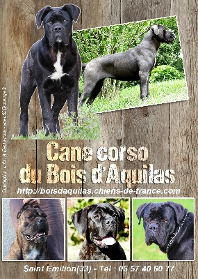 du bois d'Aquilas - La page Facebook de l'élevage !!! 