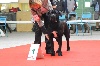 - Une Magnifique Victoire à Montluçon pour la Nationale d'élevage 